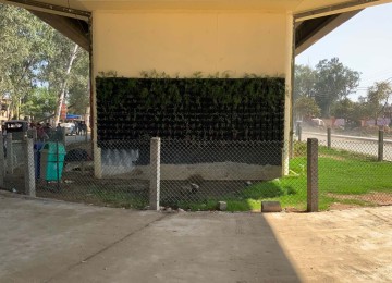 IMG_4137