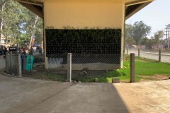 IMG_4136