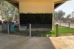 IMG_4137